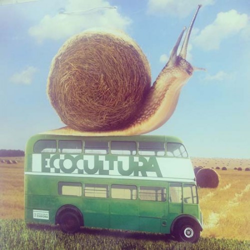 Bus Ecocultura